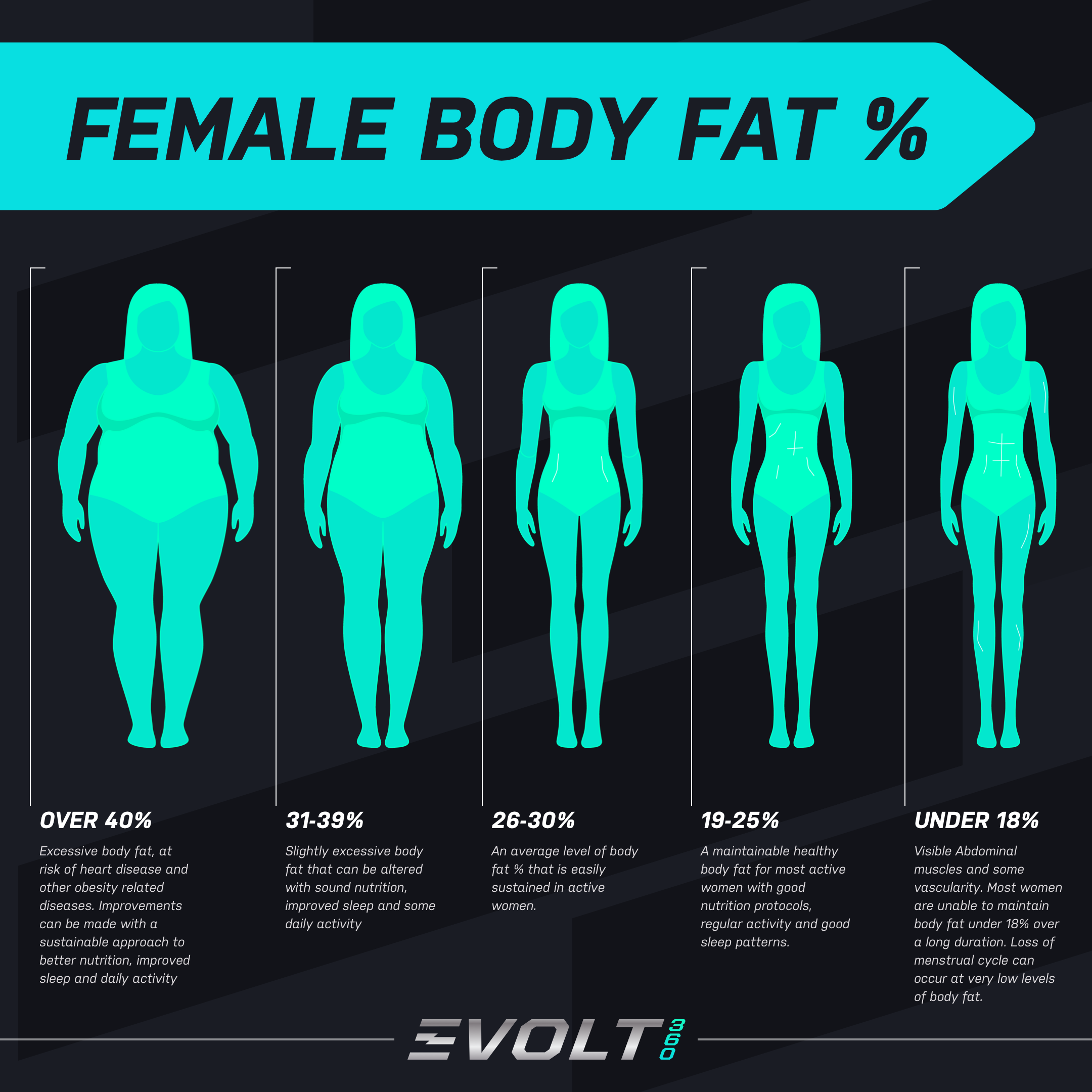 https://bodyboostpro.co.nz/site/file/user/5/uploads/image/female%20body%20fat-doP5P.png