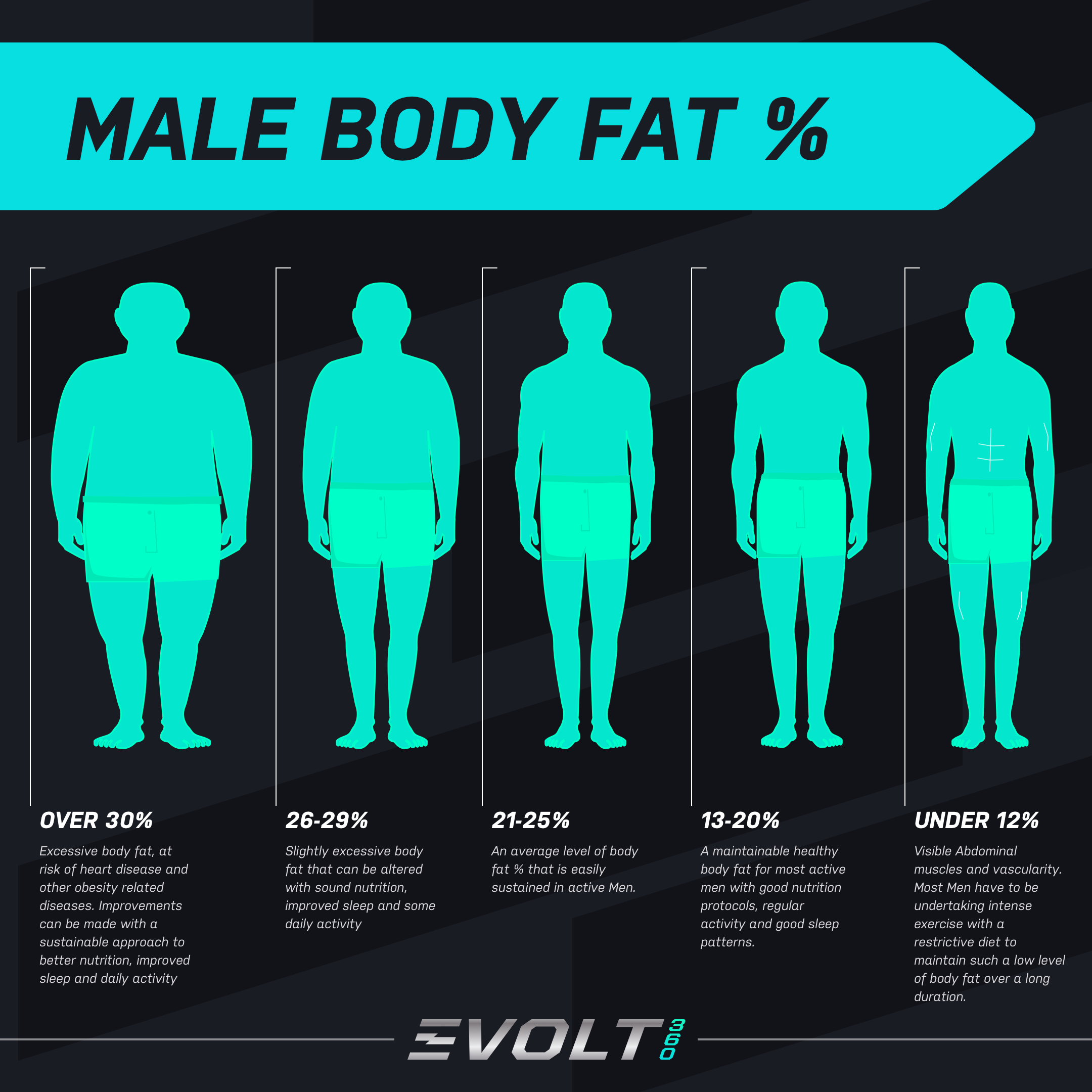 Body Fat Percentages: pictures of women & men